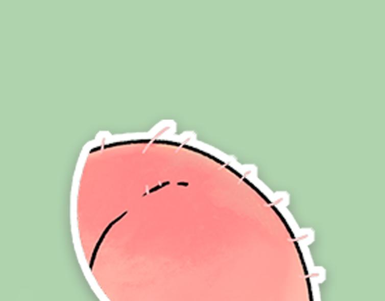 46.jpg