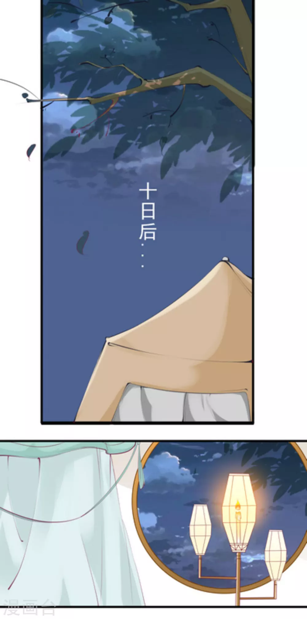 5.jpg