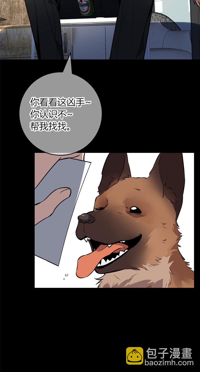 29.jpg