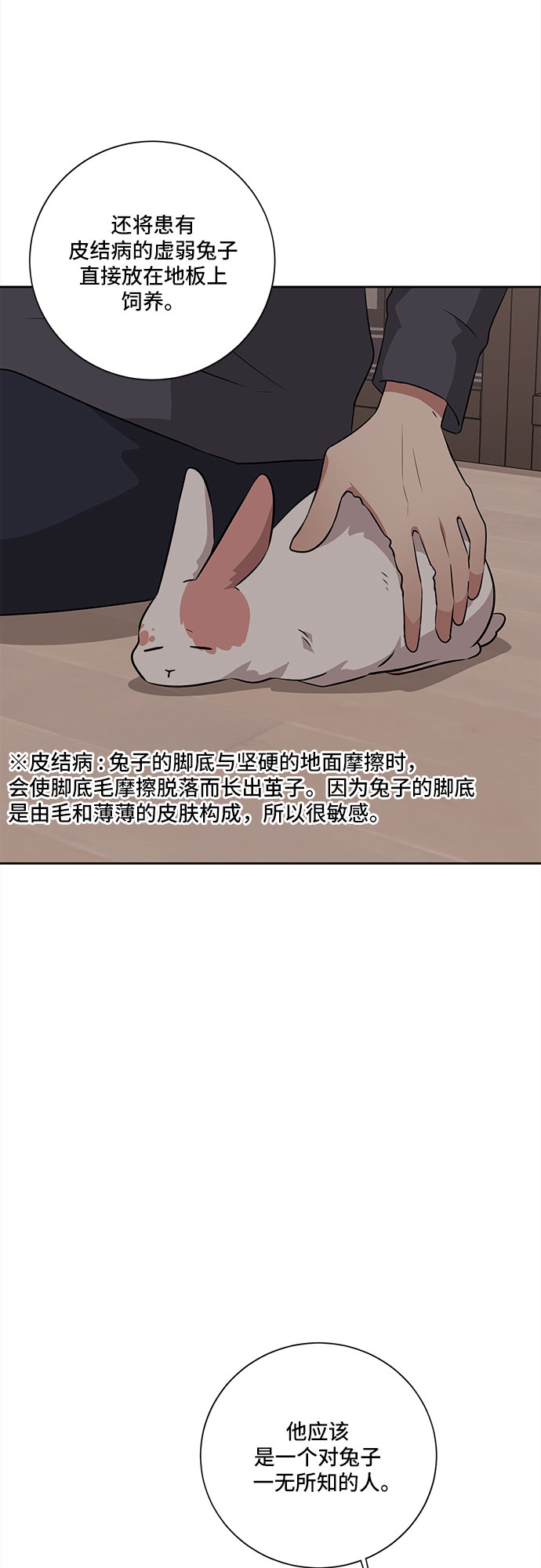 37.jpg