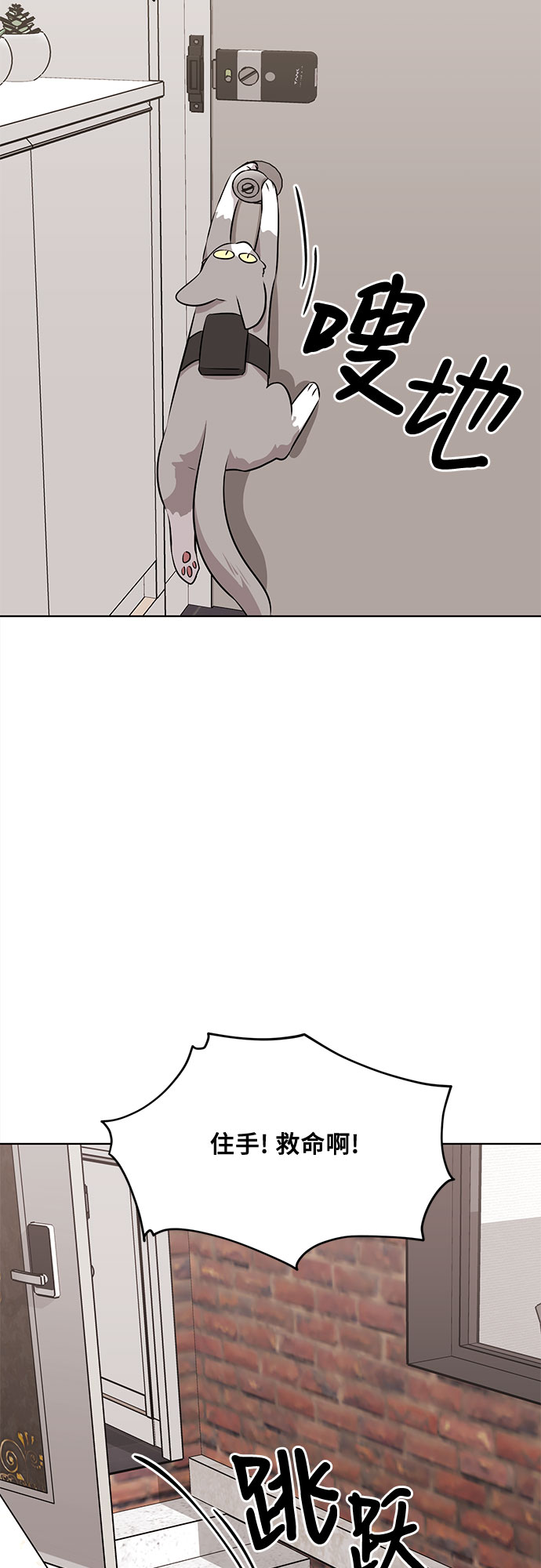 36.jpg
