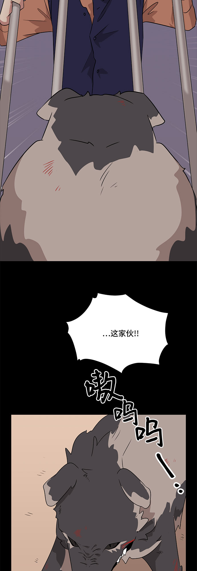 37.jpg