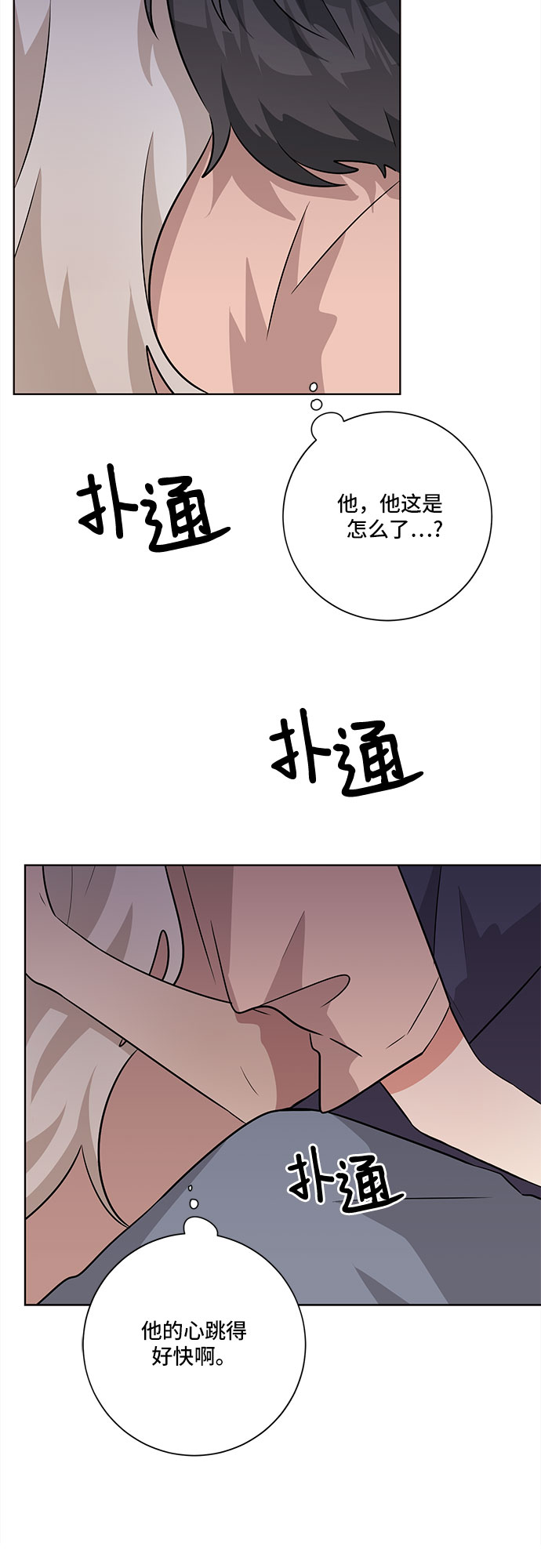 47.jpg