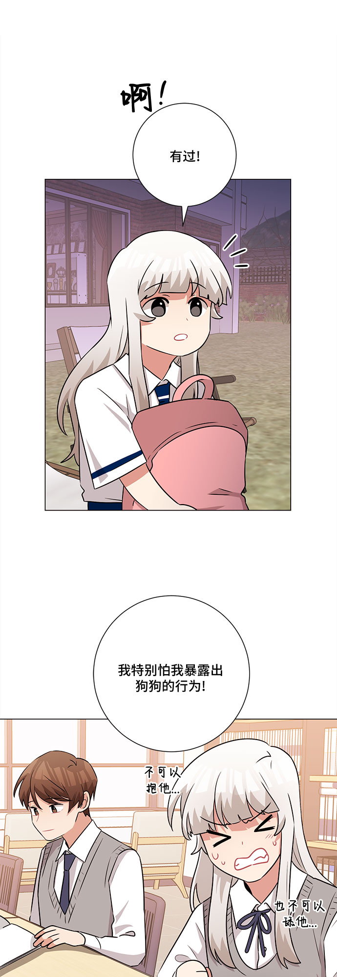 41.jpg