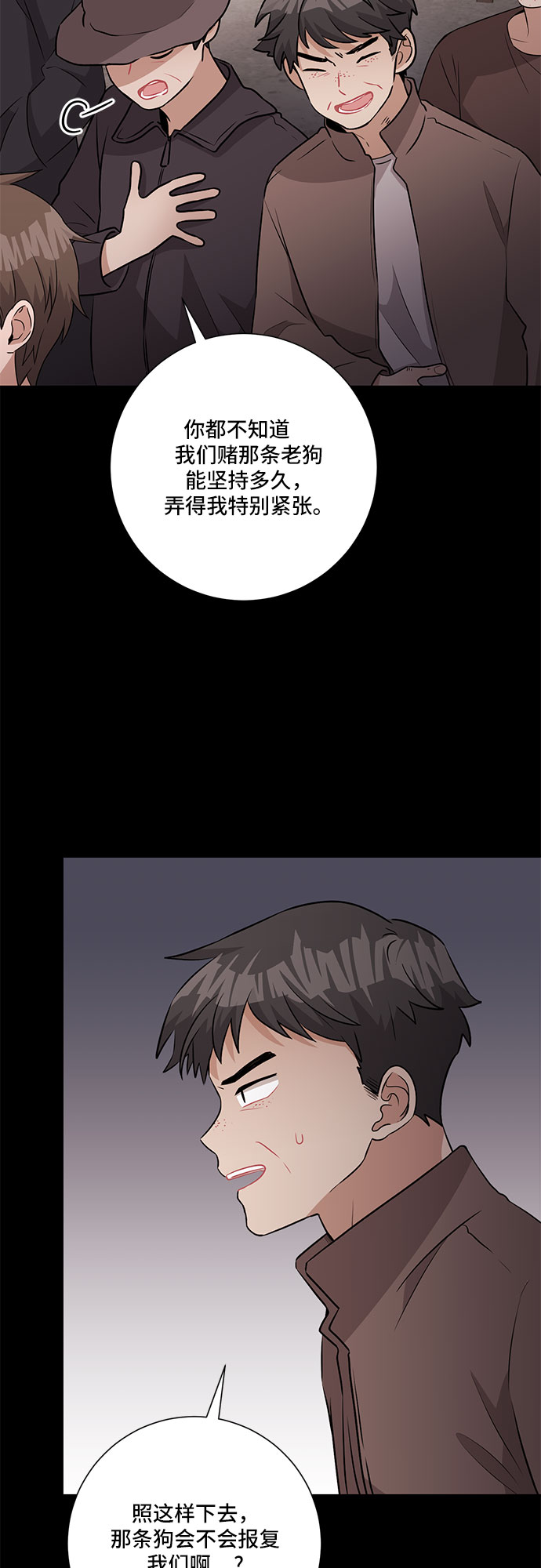41.jpg