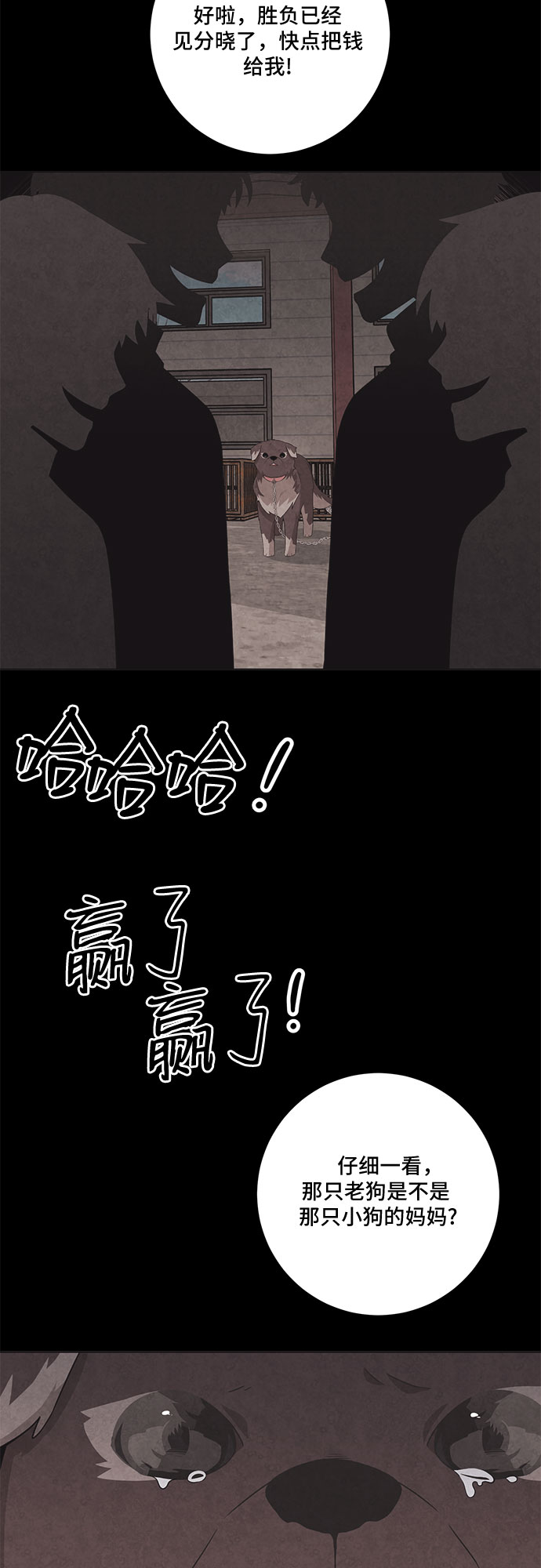 14.jpg