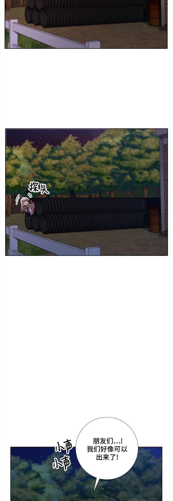 12.jpg