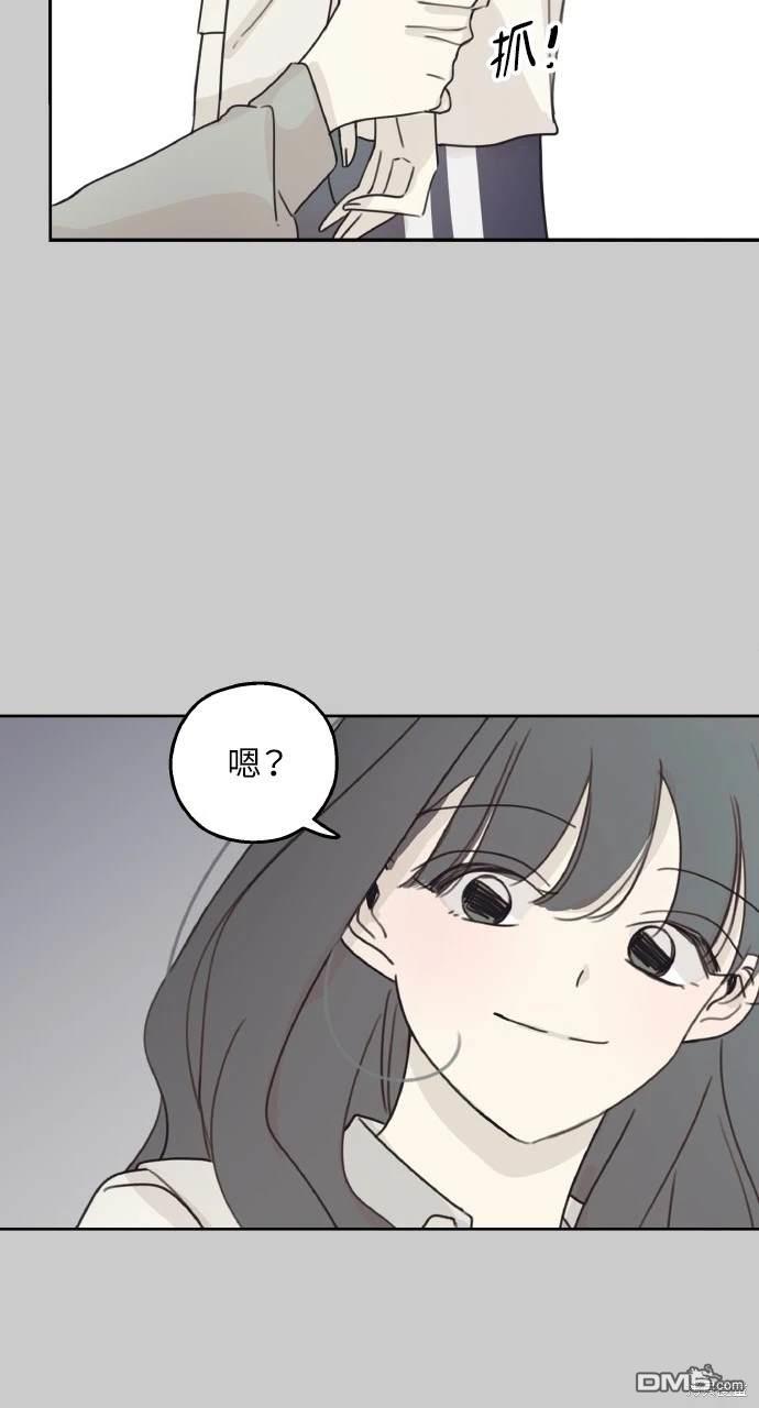 46.jpg