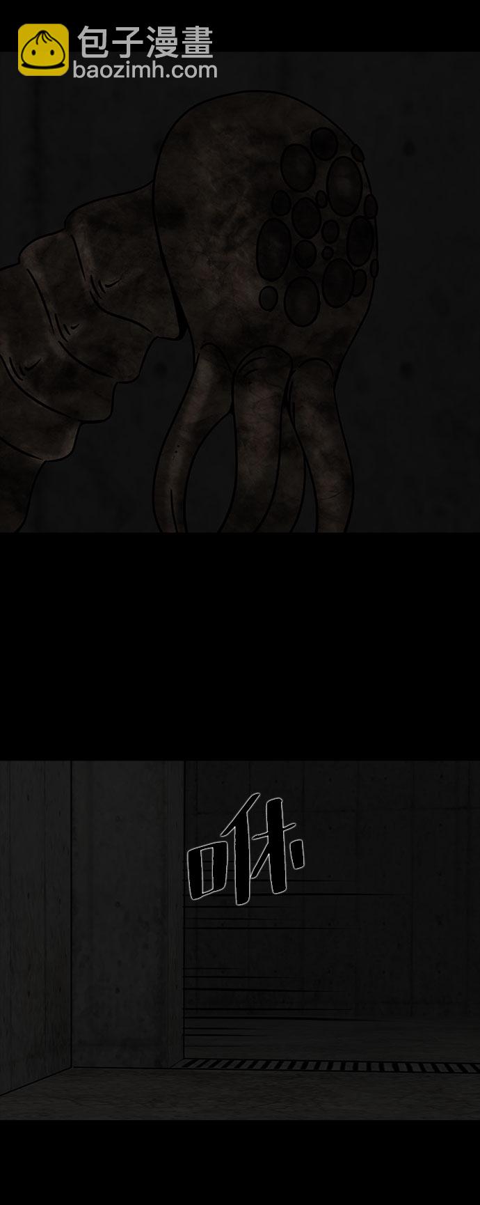47.jpg