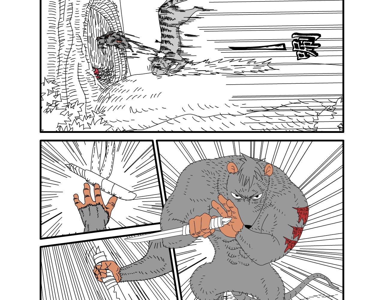 17.jpg