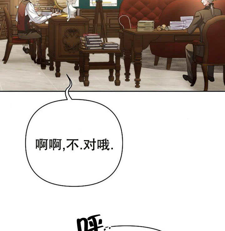 33.jpg
