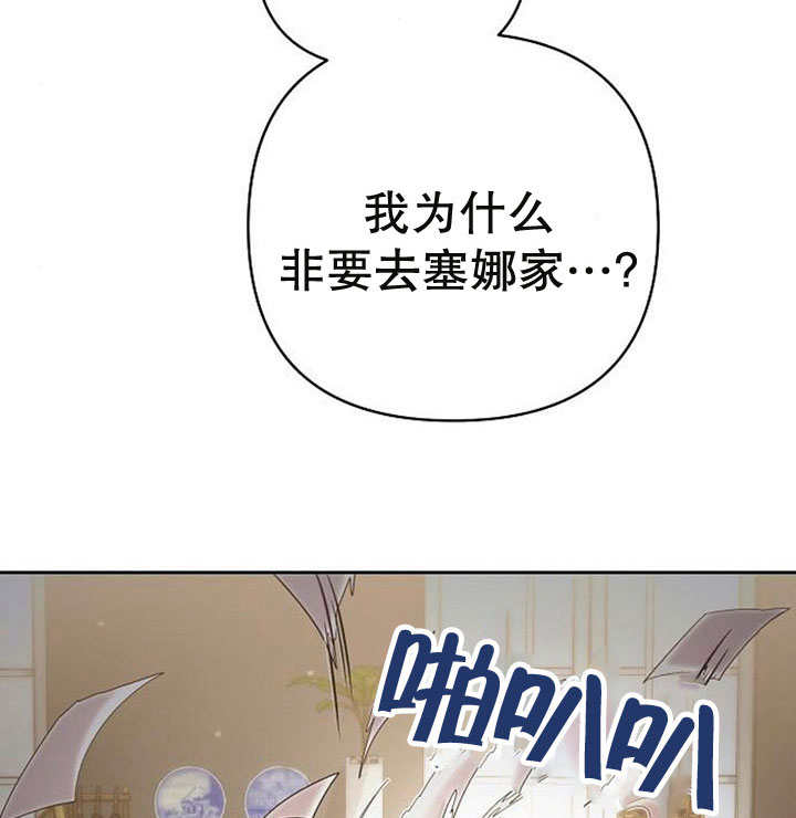 47.jpg