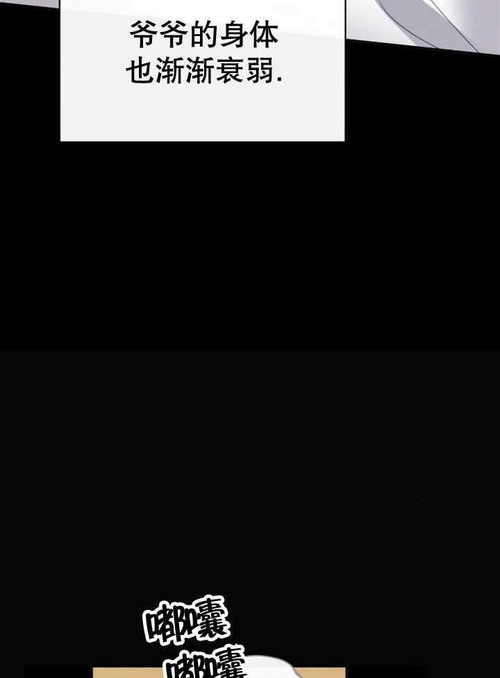 47.jpg