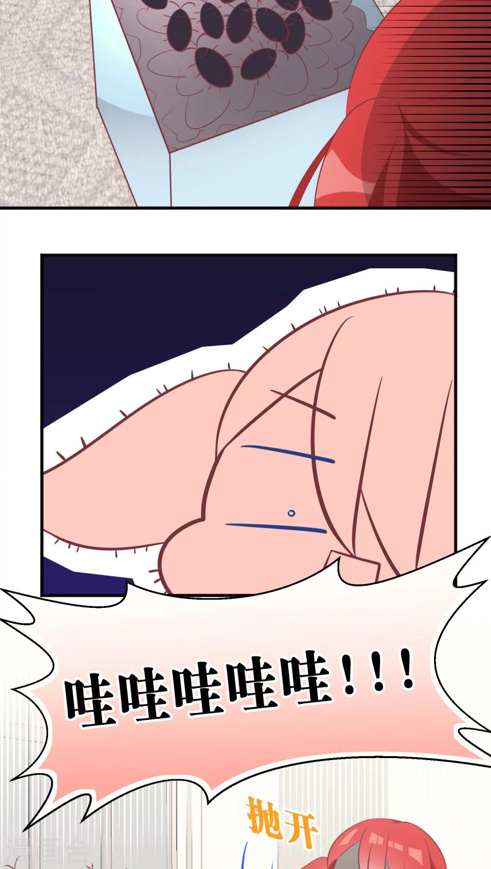 13.jpg