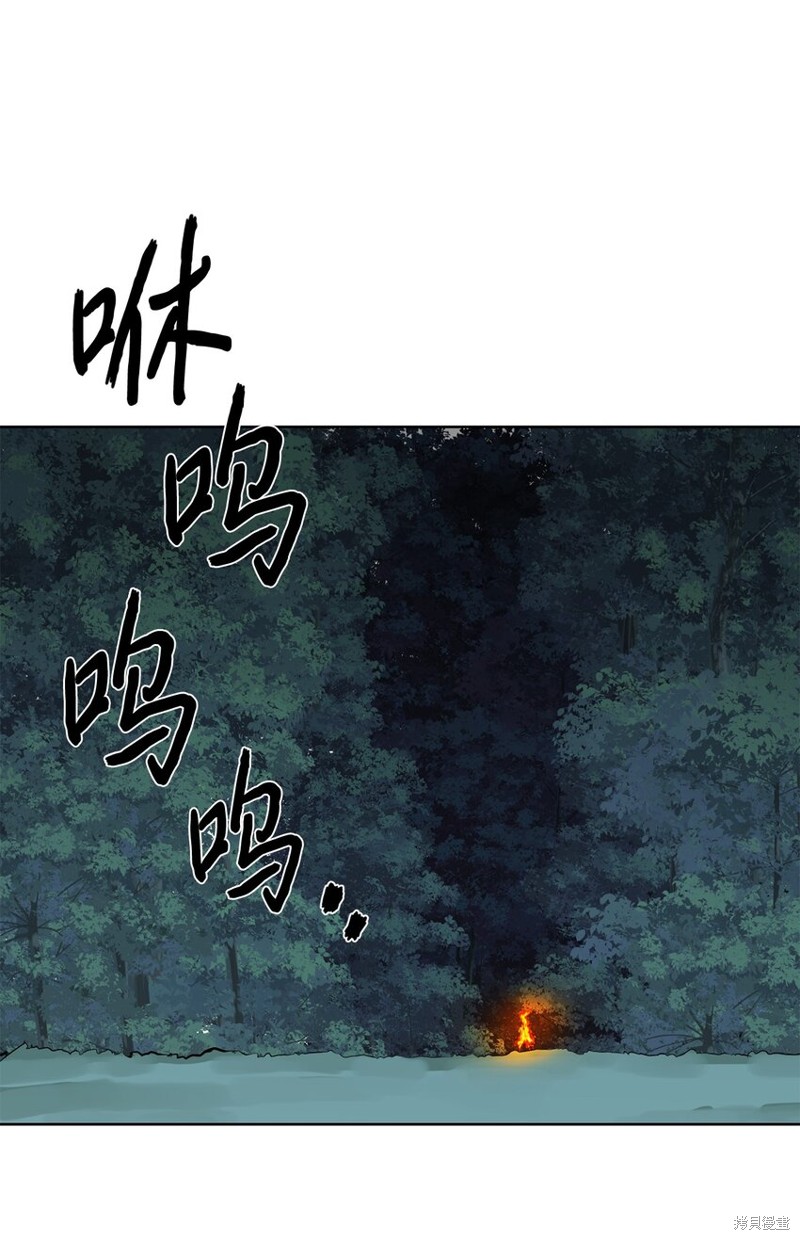 41.jpg