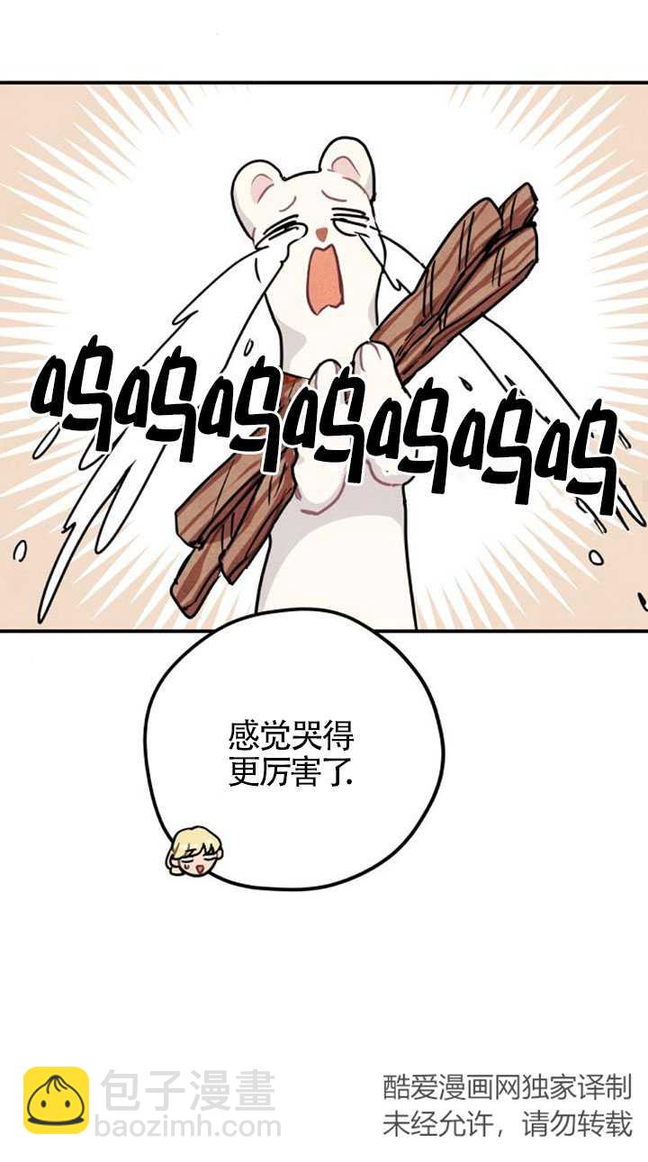 47.jpg