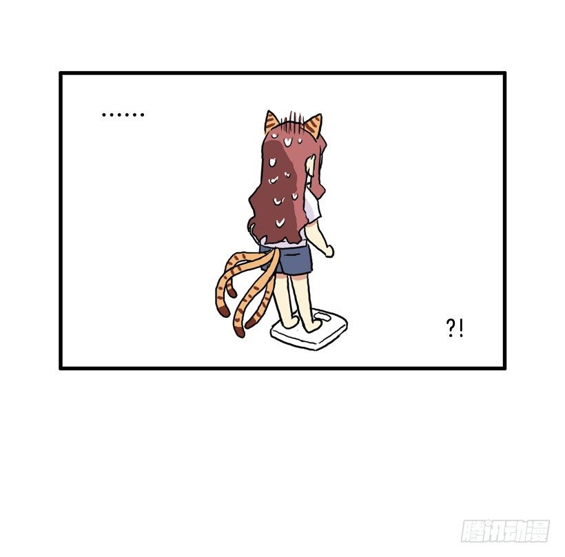 41.jpg