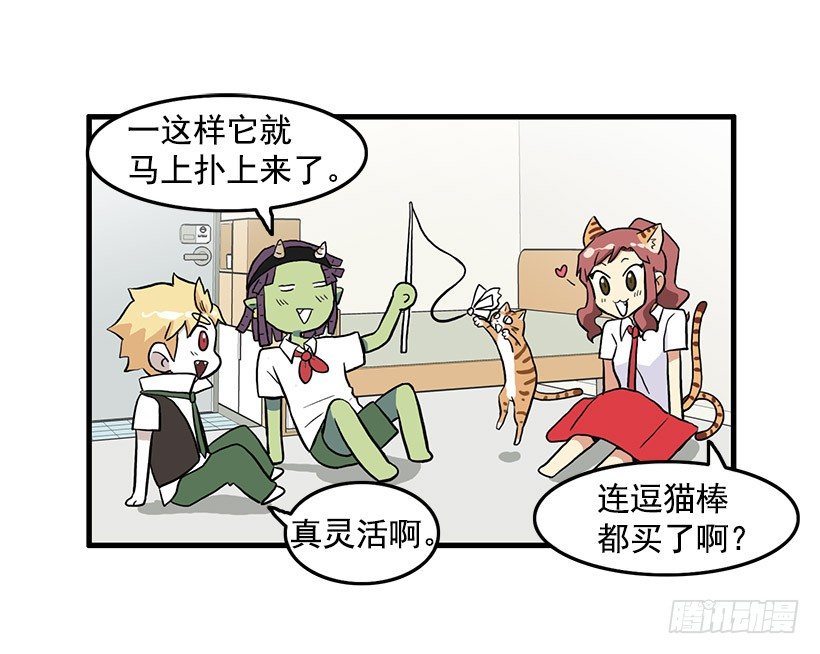 21.jpg