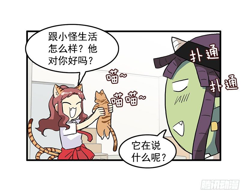 26.jpg