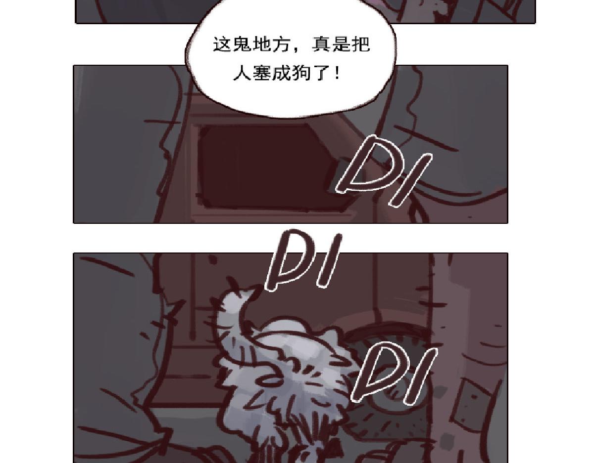49.jpg
