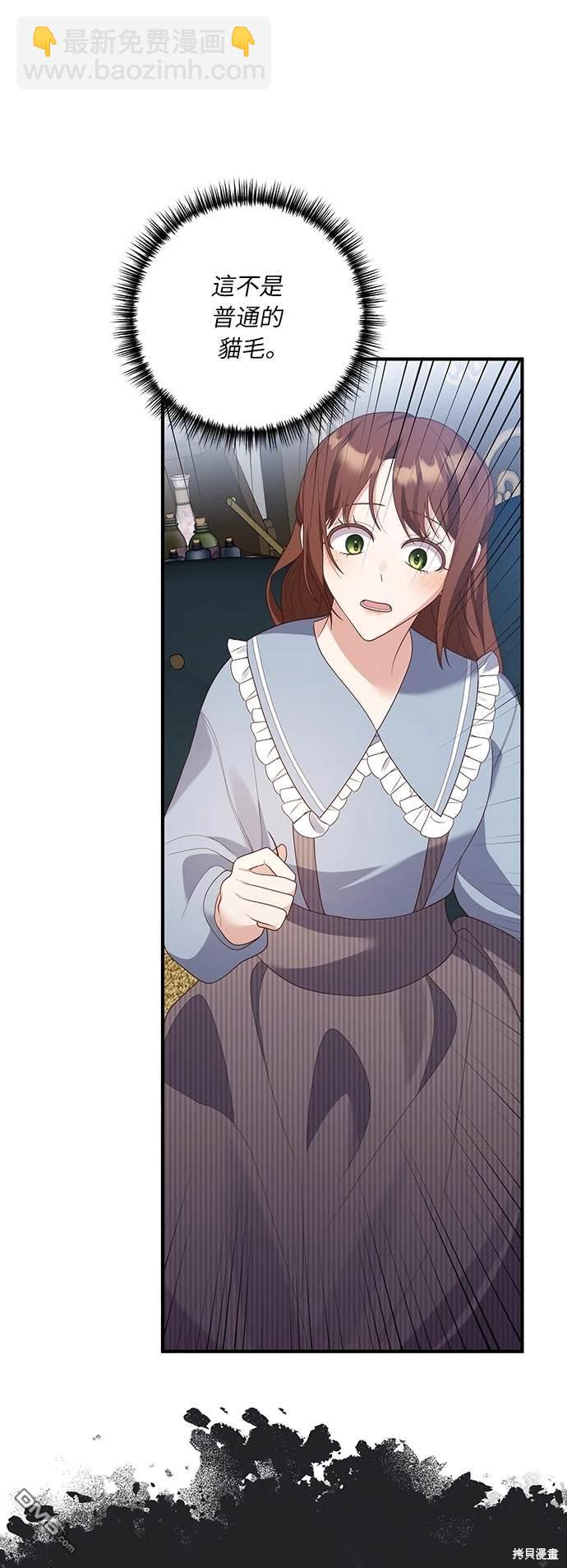 48.jpg