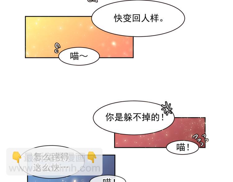 43.jpg