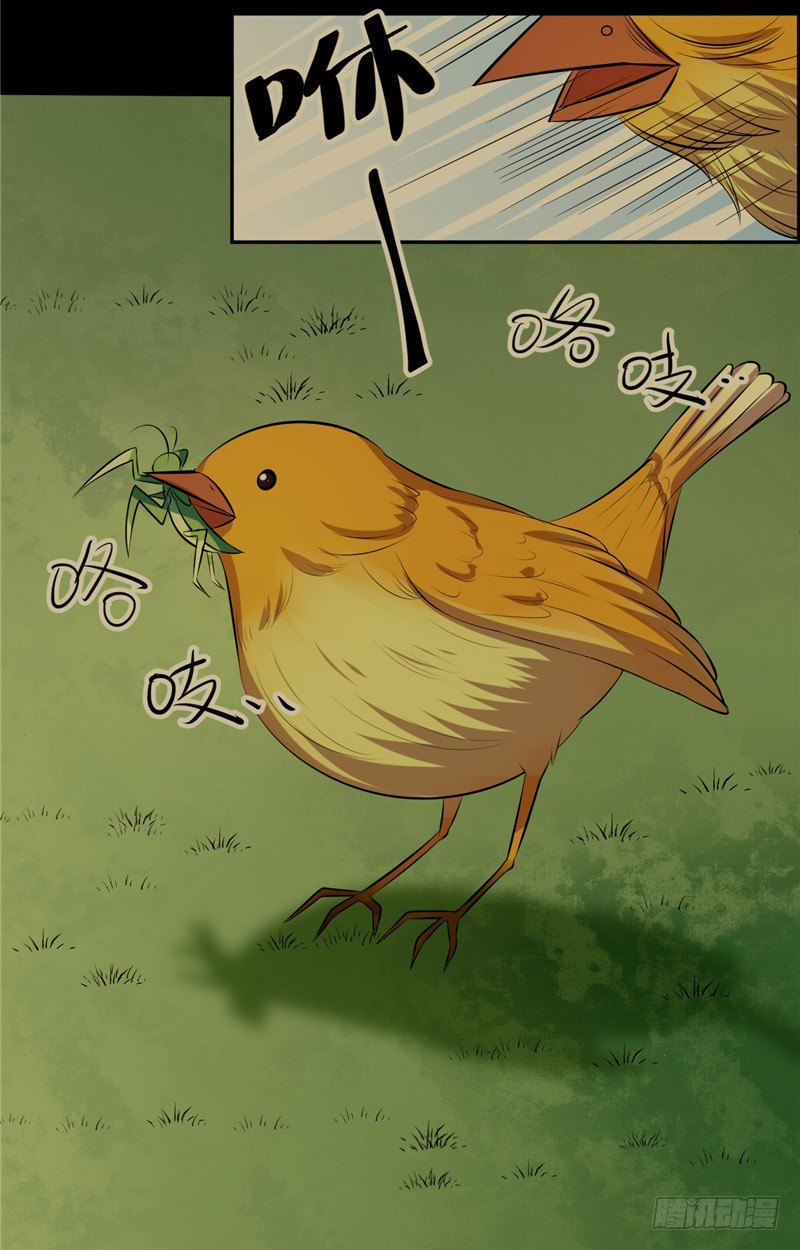 31.jpg