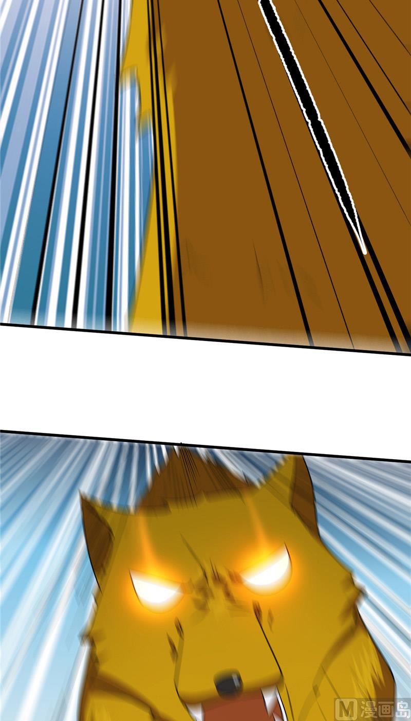 41.jpg