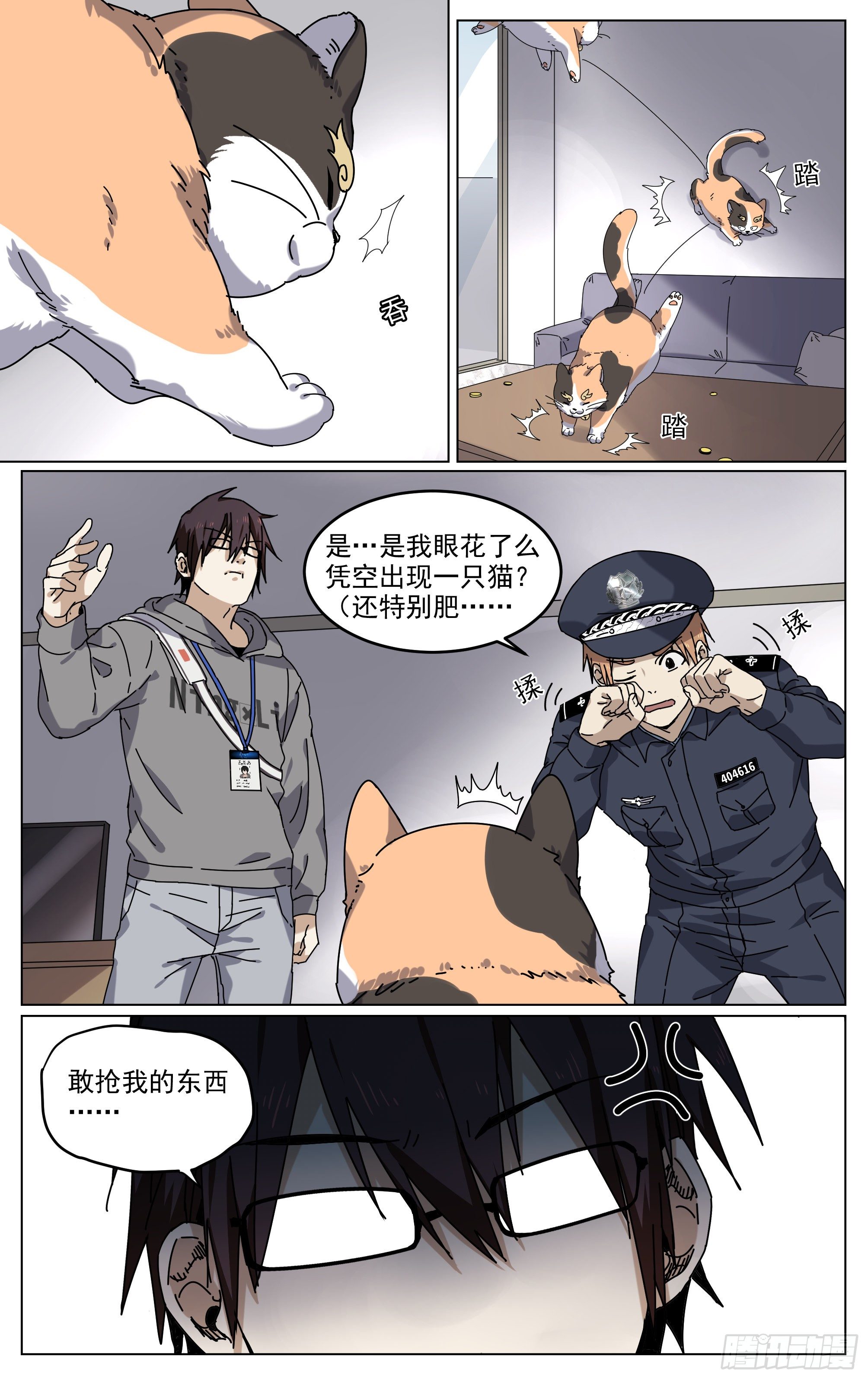 13.jpg