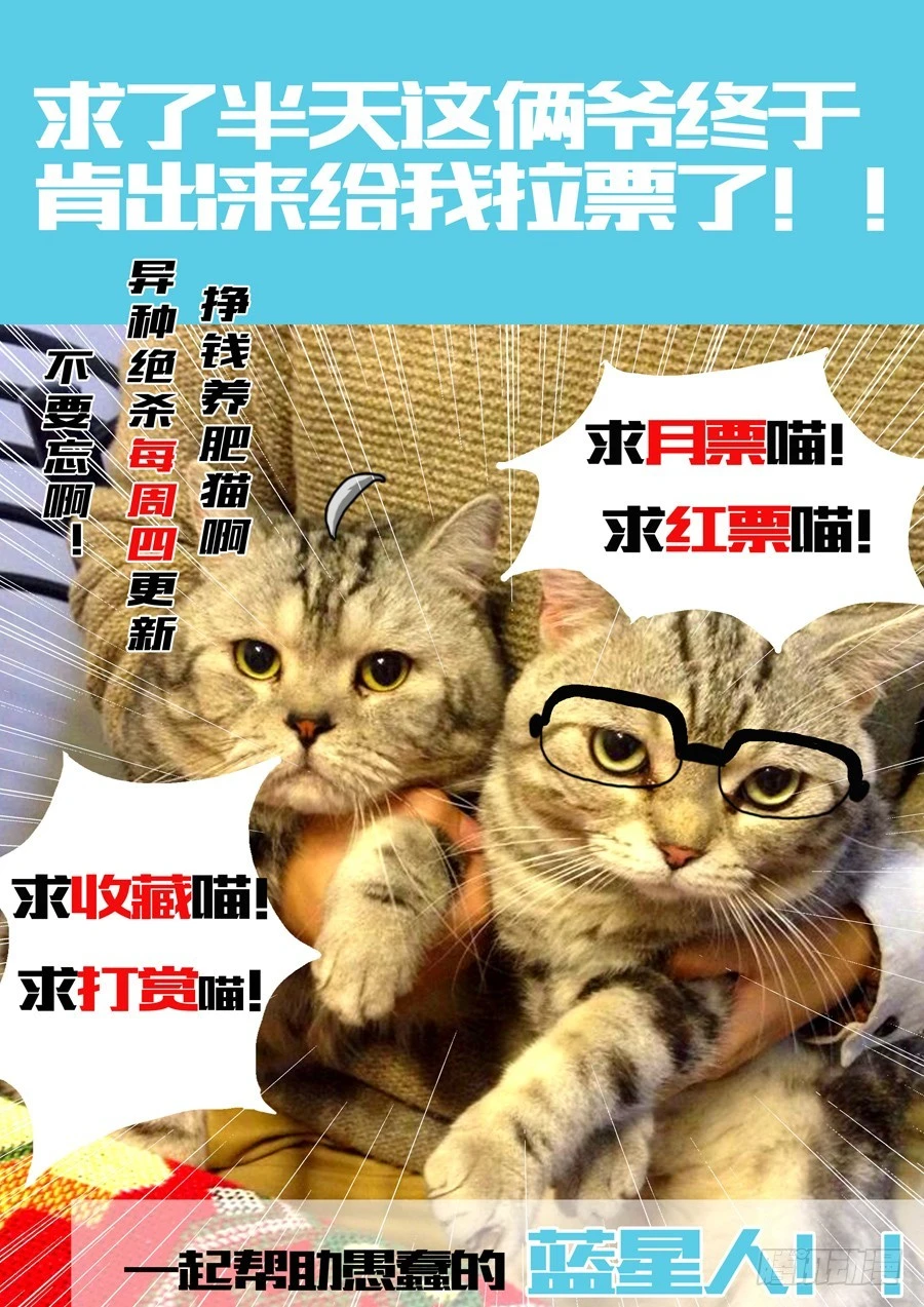 41.jpg