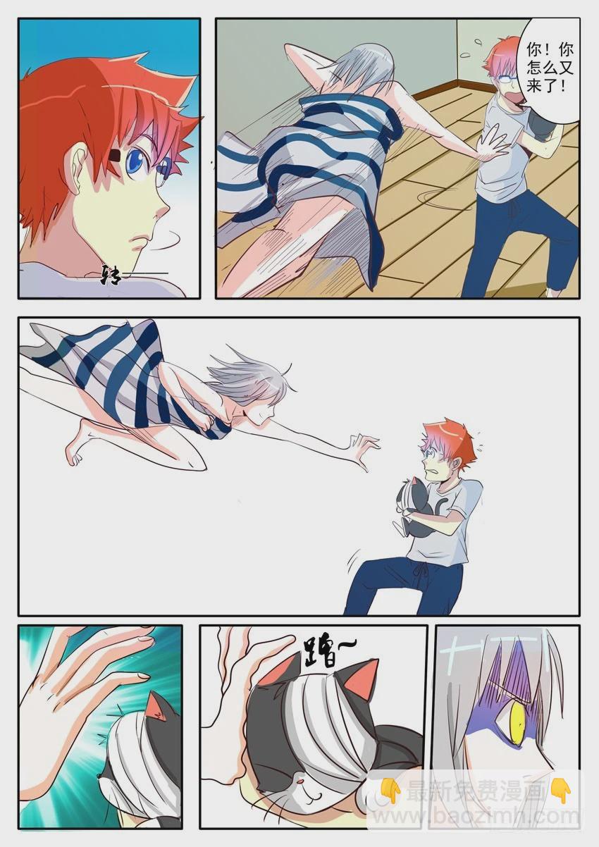 9.jpg