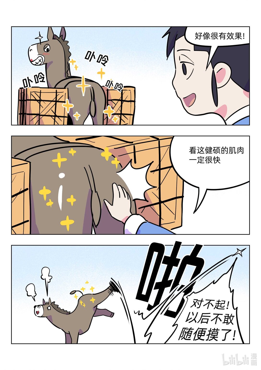 5.jpg