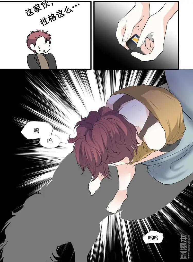 13.jpg