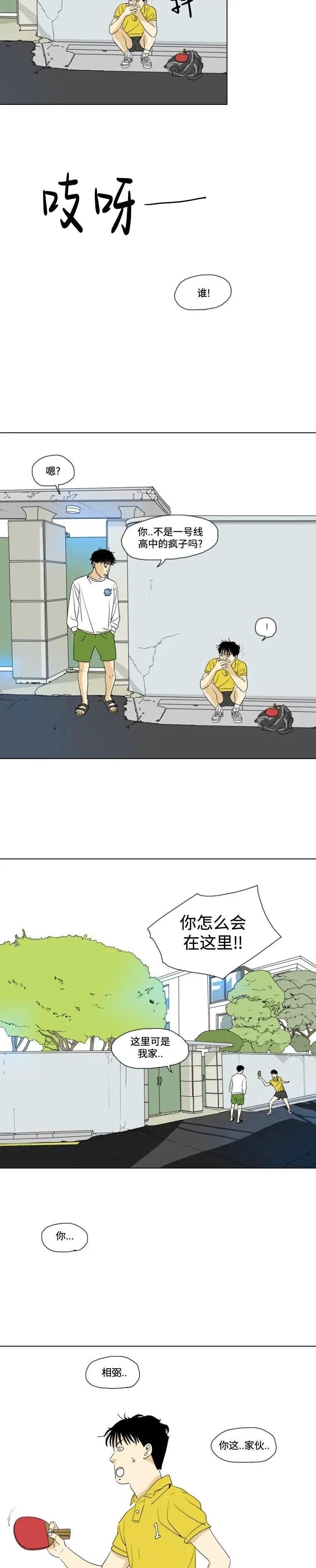 20.jpg