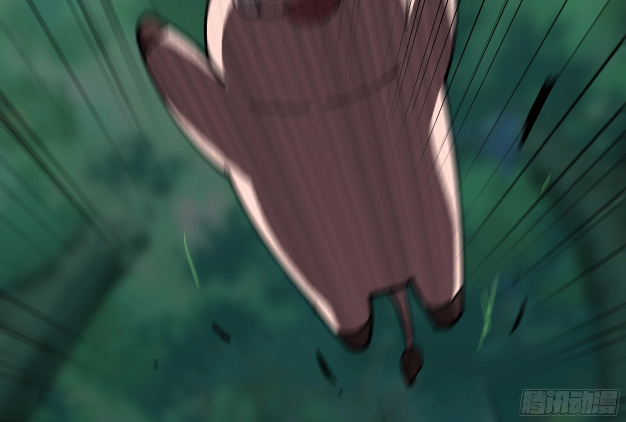 47.jpg
