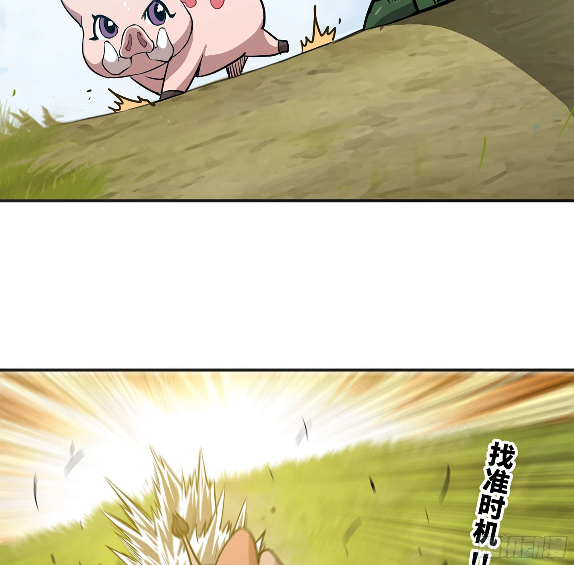 41.jpg