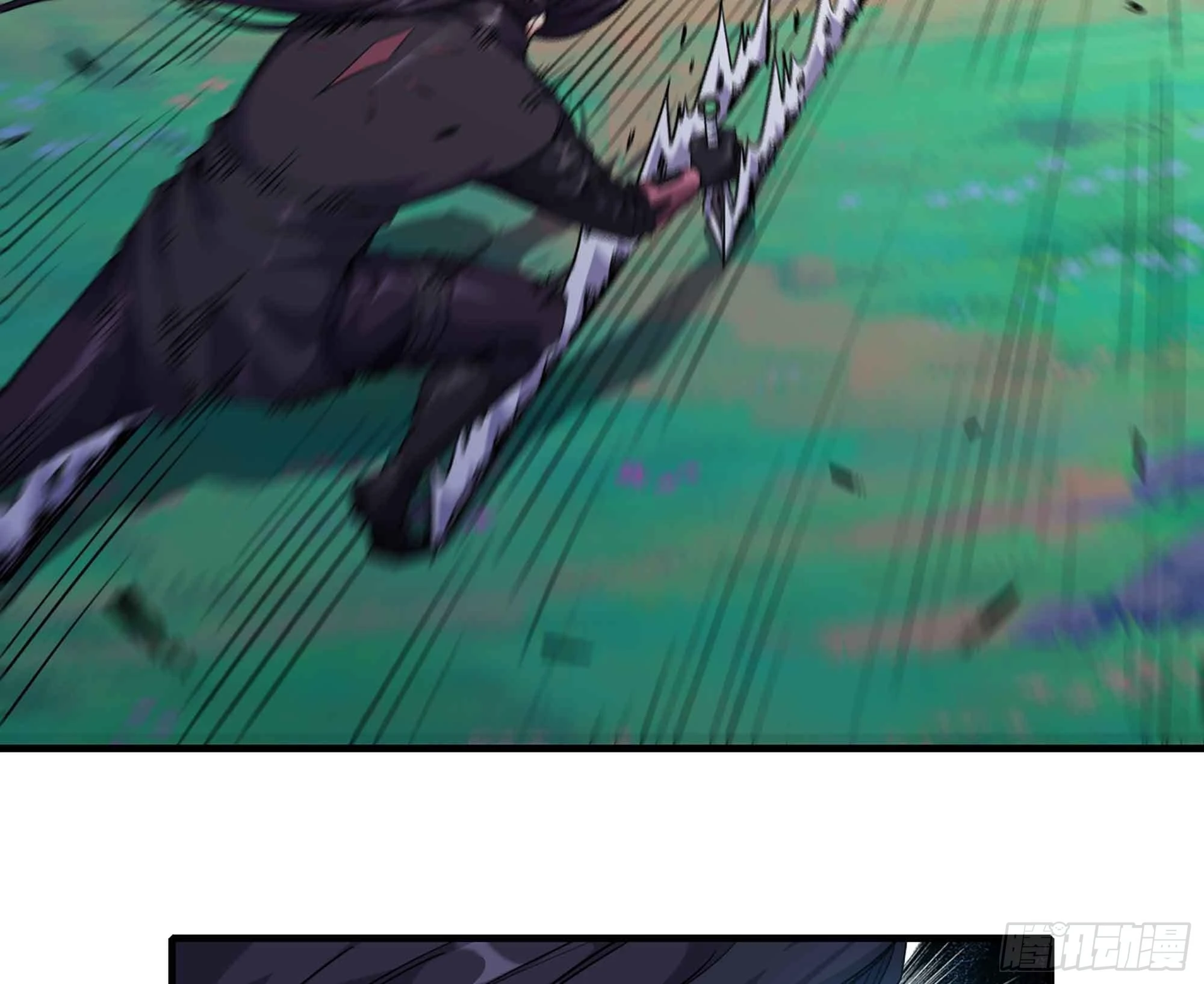 41.jpg