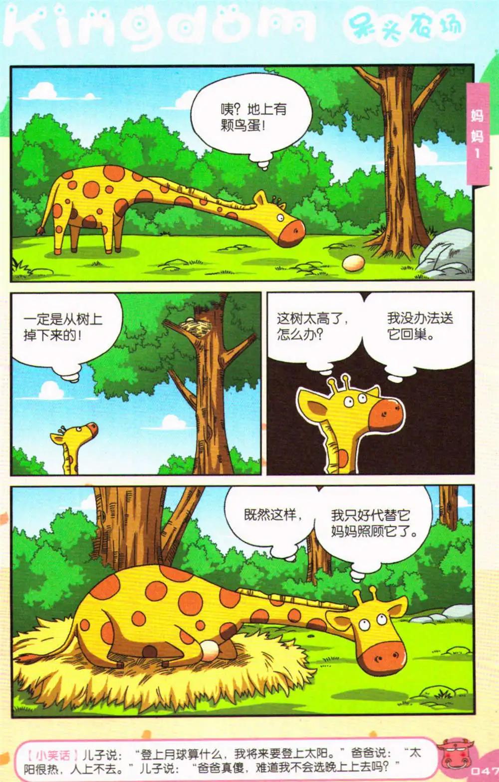43.jpg