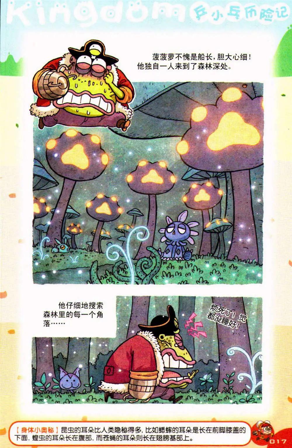 17.jpg