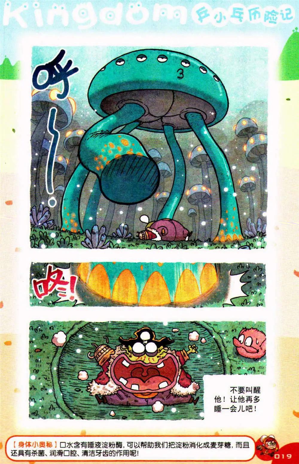 19.jpg