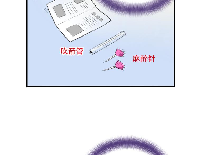 46.jpg