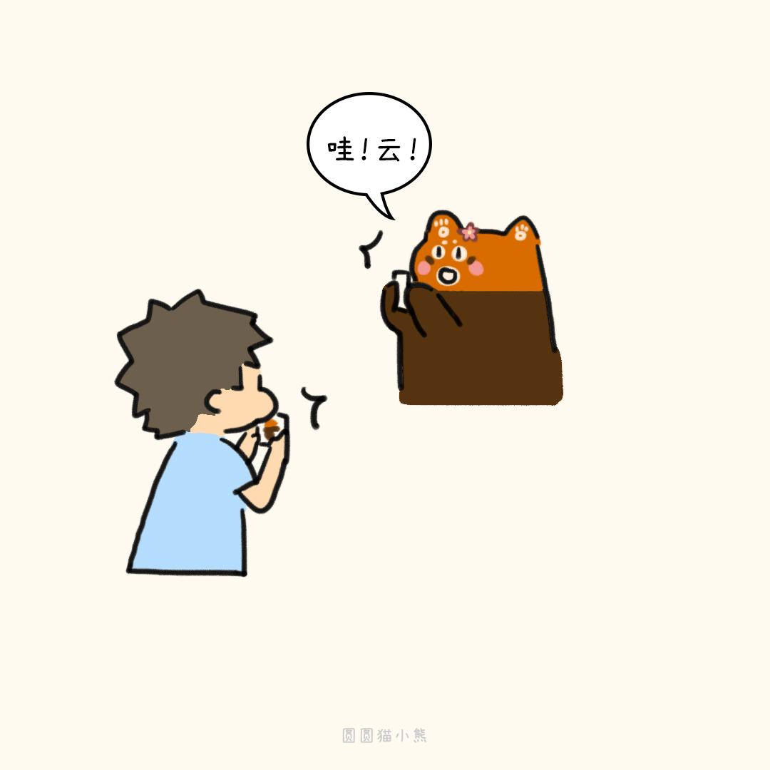 14.jpg