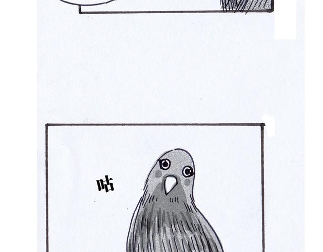 43.jpg