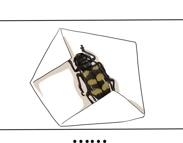37.jpg
