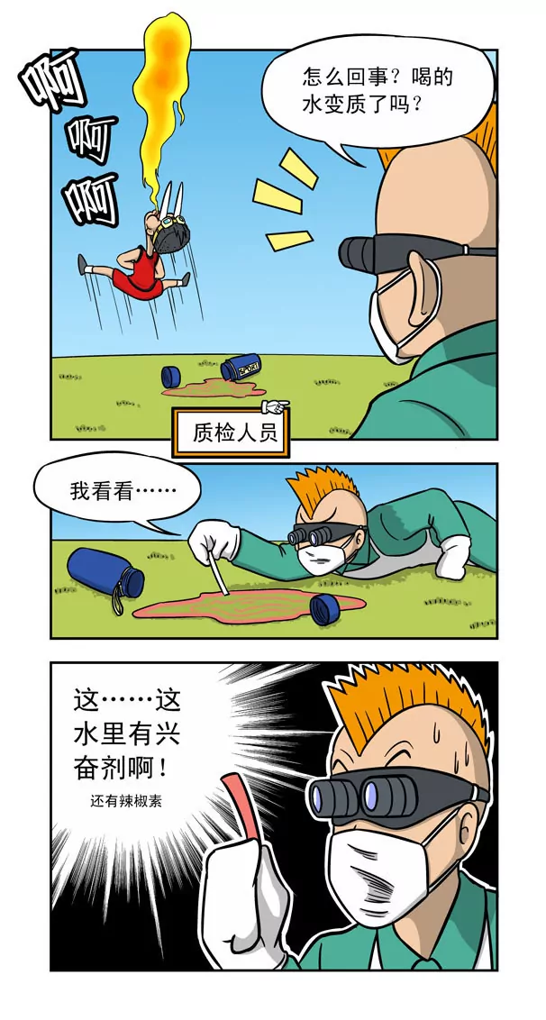11.jpg