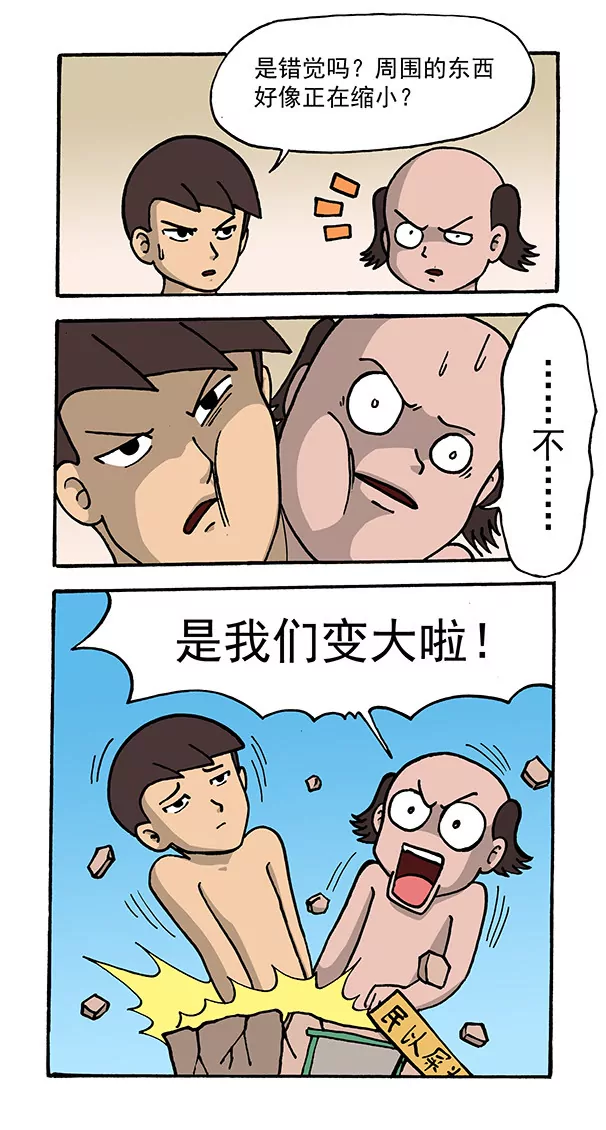 12.jpg