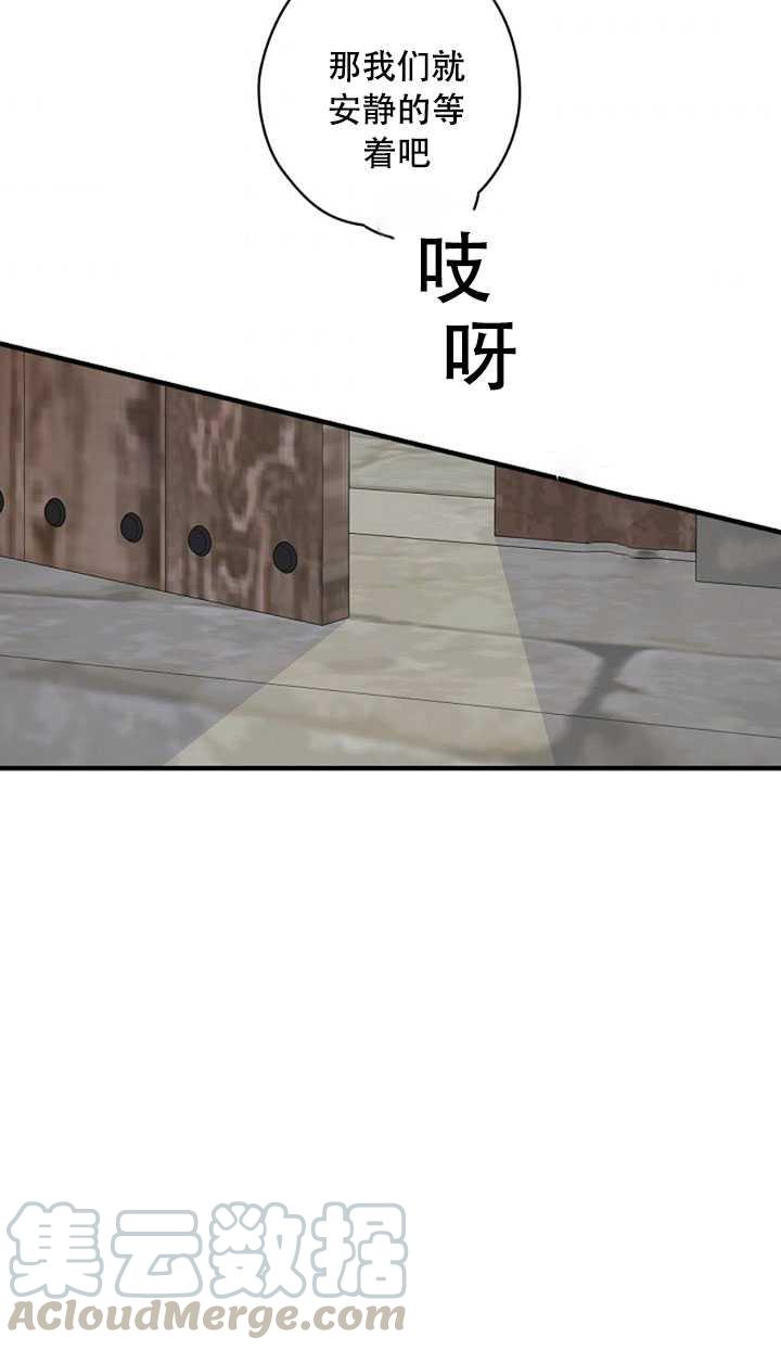 45.jpg