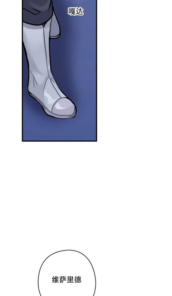 23.jpg