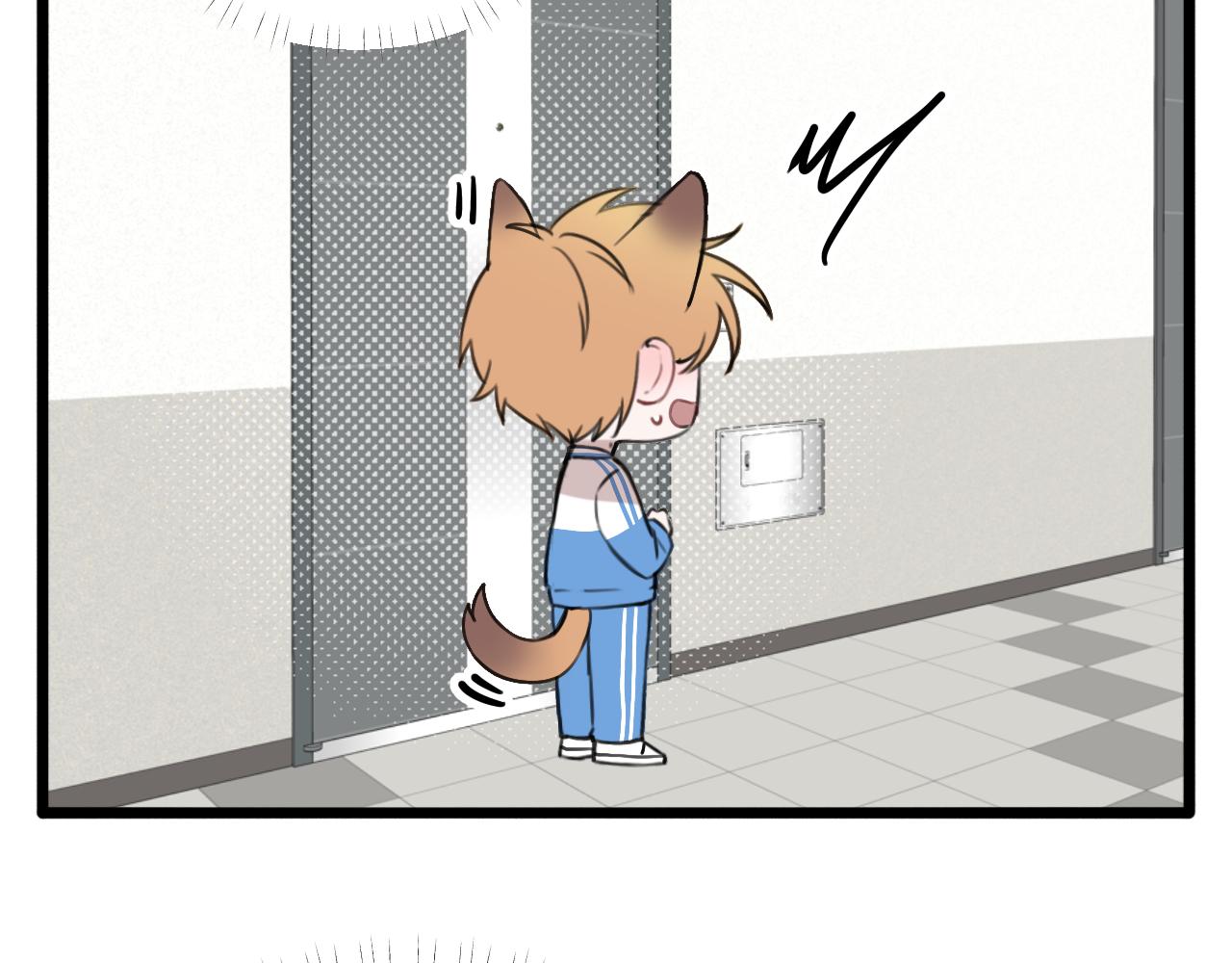 41.jpg