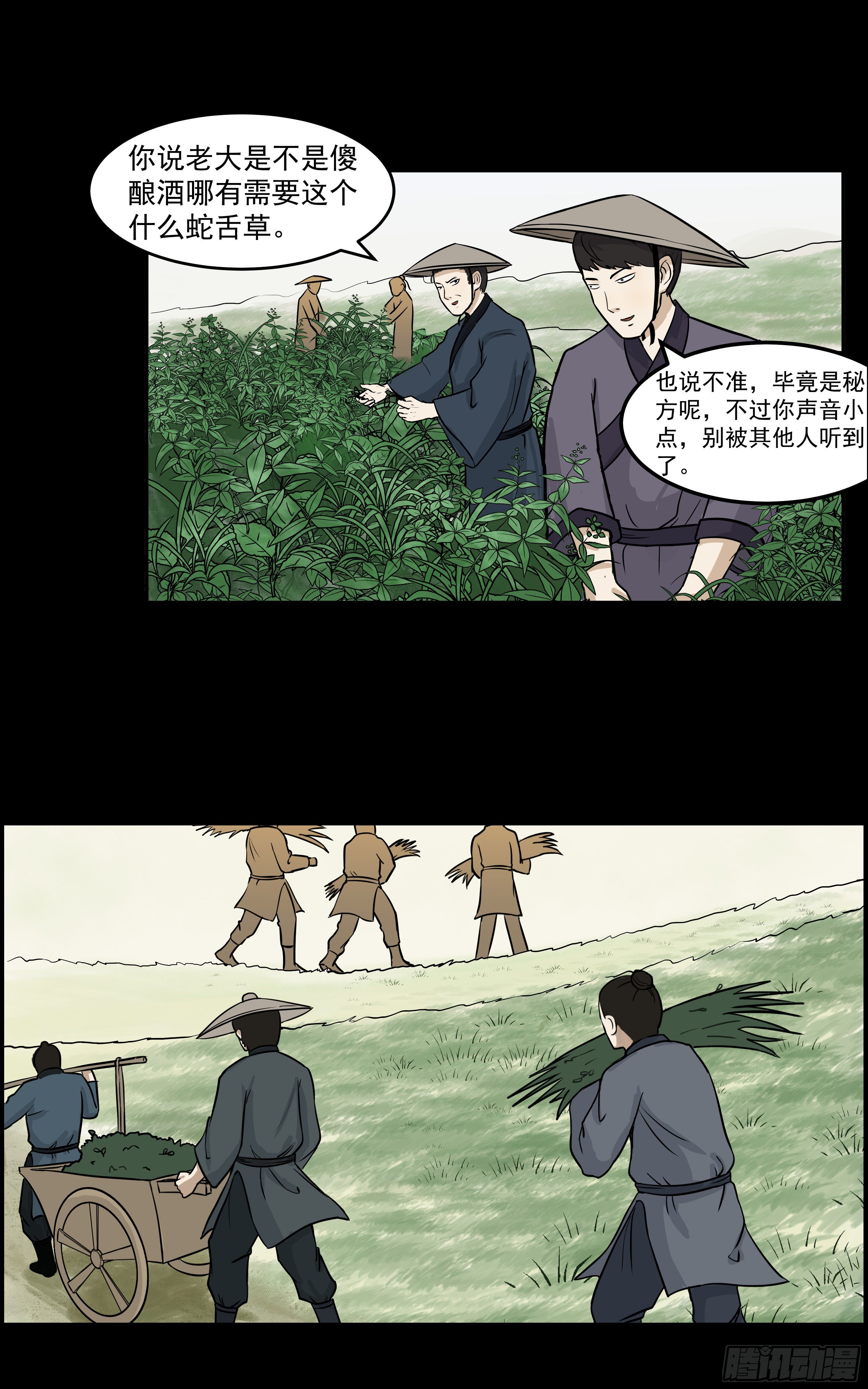 16.jpg